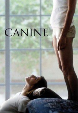 cover Canine
