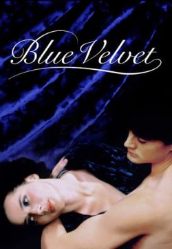 cover Blue Velvet