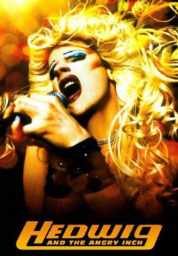 cover Hedwig and the Angry Inch